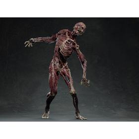 Skinned Zombie 3D model